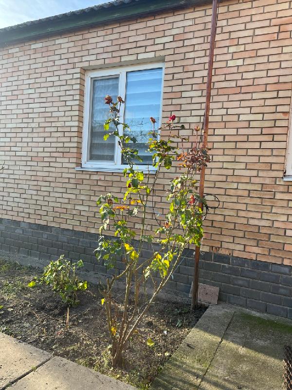  - фото нерухомості